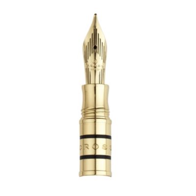 Product image for 18 Karaat Gouden Penpunt voor Spire. 