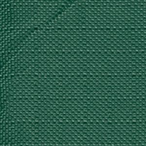 Green Duck