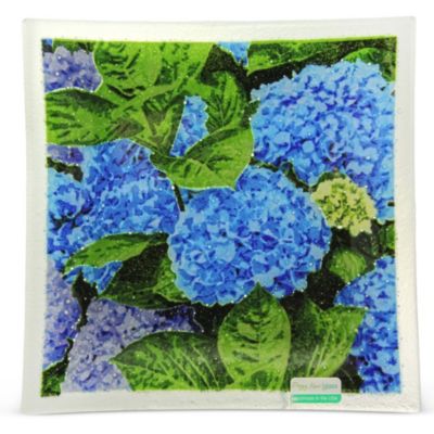 Peggy_Karr_New_Hydrangea