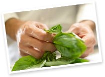 Handling Herbs