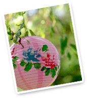 Chinese Lantern