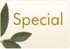 Special