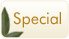 Special