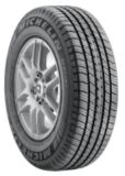 Michelin Destiny