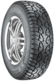 General Altimax Arctic Winter Tire