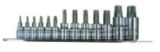 Star Bit 13-Piece Socket Set