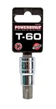 T-60 TORX Bit