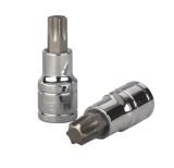 T-55 TORX Bit
