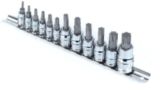 TORX 12-piece Master Set