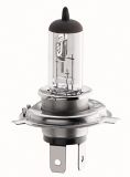 Snowmobile Headlamp Bulb