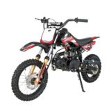 Apollo ADR 110 Dirt Bike