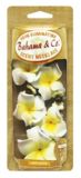 Bahamas Pina Colada Necklace Air Freshener
