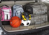 AutoTrends Large Cargo Net, 39 x 51-in