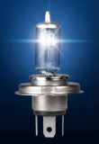 Eurolite Xenon 12V Custom Style Bulbs