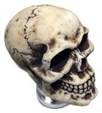 Skull Shift Knob