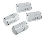 Silver Valve Caps