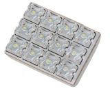 Super Bright White LED Lights, 12-Pk