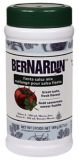 Bernardin Fiesta Salsa Mix
