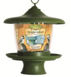Sip-n-Feed Feeder