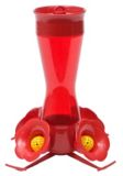 Hummingbird 4-perch, 11-oz.