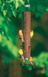 Yule-Hyde Distlefink Feeder