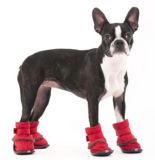 Reflective Dog Boots
