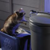 Rubbermaid Animal Stopper Garbage Can