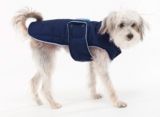 All Weather Quilted Coat for Dogs