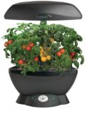 AeroGarden Cherry Tomatoes Seed Kit