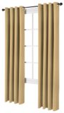 Home Collection Blackout Striped Panel, Gold