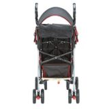 1st Year Ignite Stroller