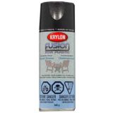 Krylon Fusion Textured Shimmer Paint, Aerosol
