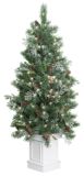 Noma Pre-Lit 4-ft Frosted Glacier Tree, Clear