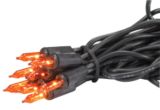 Outdoor Halloween Mini Light Set, 40-Pc