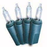 Emerald Mini Garden Lights, 100-Pack