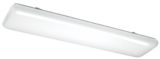 Chiclet 48-in. Fluorescent Light