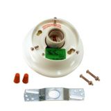 White Ceiling Fitter