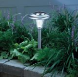 Solar LED Light, 4-pk