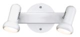 Aspen 2-Light Track Fixture