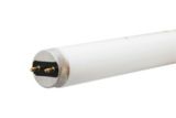 GE Daylight Bulb 32W Tube, 48"