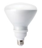 Blue Planet Compact Fluorescent R40 Flood ...