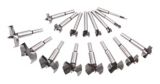 Mastercraft Maximum Forstner Bit Set, 16-pc