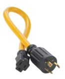 Adaptateur Champion Pigtail