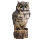 Garden Owl