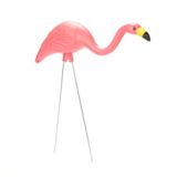 Pink Flamingo Lawn Stakes
