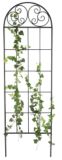 Scroll Trellis