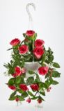 Assorted Hanging Flower Basket