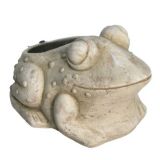 Assorted Artificial Frog and Snail Arrange...