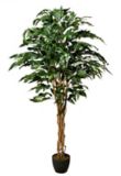 Artificial Mango Tree in Pot
