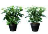 Potted Plastic Plant, 12-in